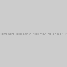 Image of Recombinant Helicobacter Pylori hypA Protein (aa 1-117)